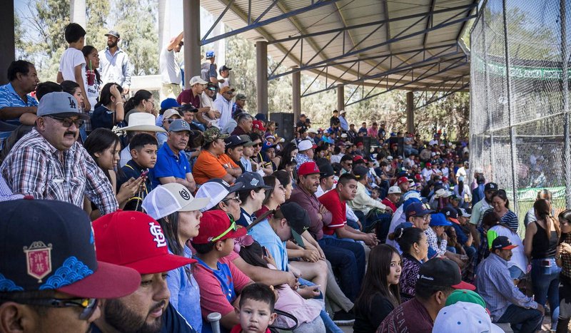 gradas_de_estadio_de_beisbol_de_moctezuma_mirioverde.jpeg