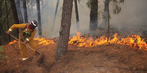 El Saucillo y Morillos, focos rojos para temporada de incendios forestales