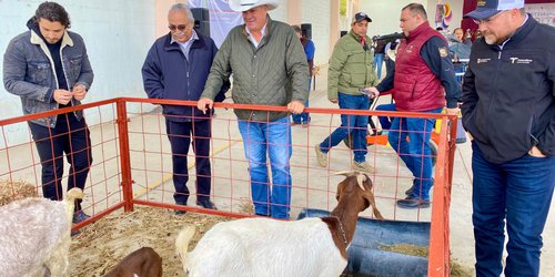 Realizarán Festival del Cabrito 2026 en Real de Catorce y la FENAPO