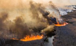 Ucrania: incendio en la zona de exclusión de Chernóbil multiplica la radiación 16 veces