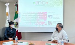Gobierno del cambio promoverá mayor desarrollo de personas de pueblos originarios