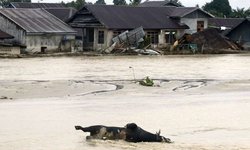 Inundaciones en Indonesia dejan 36 muertos
