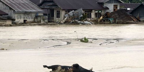 Inundaciones en Indonesia dejan 36 muertos