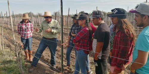 Enseñarán a estudiantes del ITSR a sembrar uva y lavanda