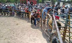 Jaripeo para despedir a paisano fallecido en La Cofradía, alertó a Servicios de Salud