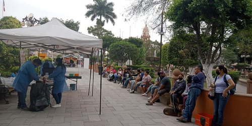 Lleva Municipios 426 mascotas esterilizadas en campaña permanente