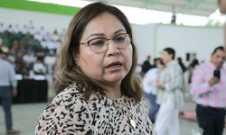 Listo el dictamen para incrementar sanciones a quien provoque incendios: Dip. Leticia Vázquez