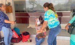 DIF Rioverde y loncherías “La Chaparrita 1” y “El Regimiento” entregan lonches en el Hospital Regional.