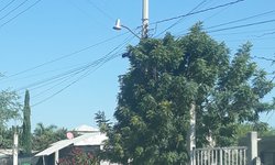 Roban cerca de 20 luminarias en el ejido Llanitos