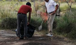 Siembran sabinos y limpian de basura el manantial Los Peroles