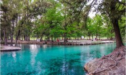 Recuperación de flora y fauna de centros turísticos de Rioverde