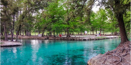 Recuperación de flora y fauna de centros turísticos de Rioverde