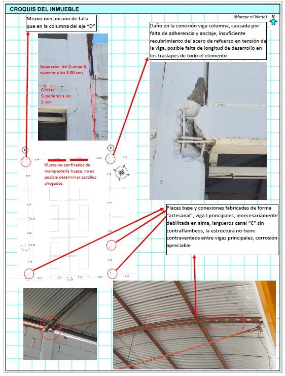 mercado dictamen.jpg