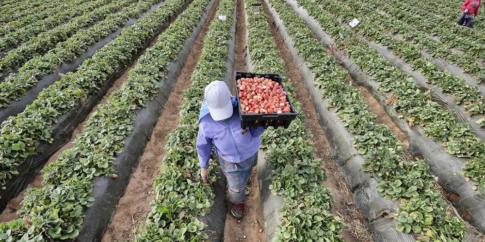 mexico-aranceles-mi rioverde.jpeg