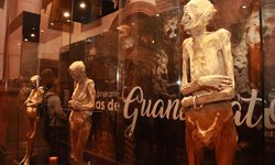 Exposición de Momias de Guanajuato rompió récord de asistencia en SLP