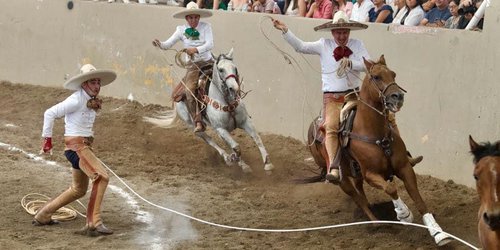 Millonaria derrama dejará nacional de charro: CANIRAC