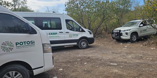 Han encontrado siete “narcofosas” con restos óseos en Agua Dulce, Rioverde
