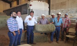 Pacas de zacate gratis evitarán muerte de ganado por estiaje