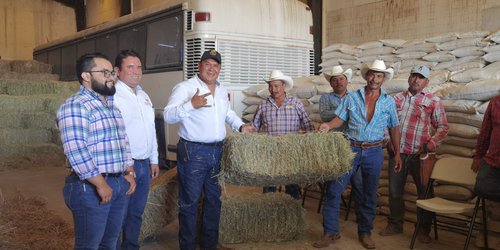 Pacas de zacate gratis evitarán muerte de ganado por estiaje