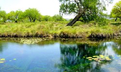 Proponen certificar el manantial Los Peroles como sitio de conservación