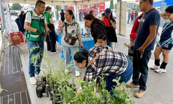 Estado conmemora Día del Árbol con jornada de reciclaje y reforestación