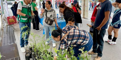 Estado conmemora Día del Árbol con jornada de reciclaje y reforestación