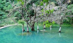 Proponen difusión de turismo religioso, gastronómico y del parque nacional El Potosí
