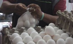 Esperan incrementos al precio del huevo en temporada invernal
