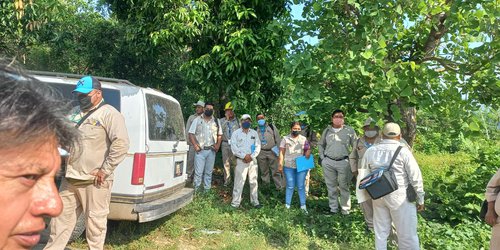 Trabajarán en seis localidades de SLP en riesgo por enfermedad del Chagas