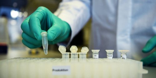 OMS inicia el ensayo clínico de la vacuna contra el coronavirus