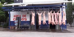 Nuevo camión, soluciona distribución de carne en el Rastro