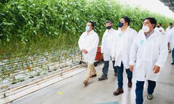 Con buena gestión, invernaderos de Santa Rita servirán para apoyar a la gente: Ricardo Gallardo