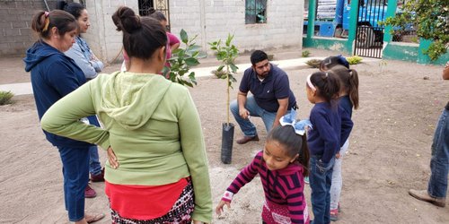 Campaña Reforestando por tu Futuro llega a la primaria Julián Carrillo