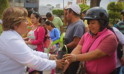 Regalan cientos de arbolitos para promover acciones de reforestación