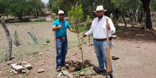 Más de 80 árboles plantados en CDFDZ con campañas de reforestación