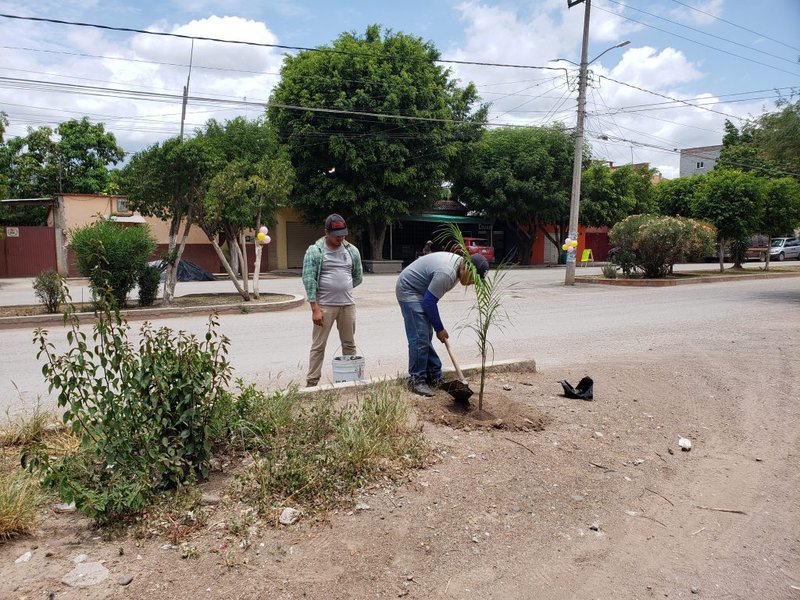 reforestacion fdzuno.jpg