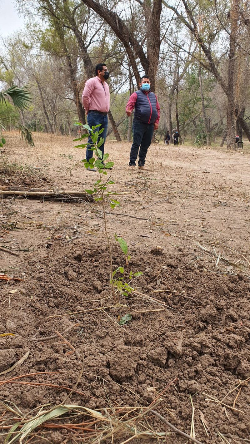 reforestacion_rio.jpeg