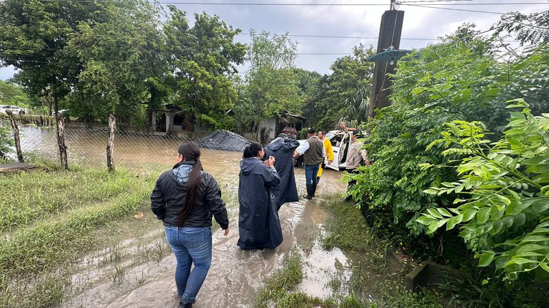 reparto_apoyos_lluvias_mirioverde.jpeg