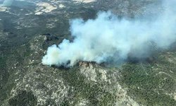 SLP salió bien librado en la temporada de incendios