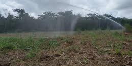 Suspenderán del 5 al 9 de abril riegos agrícolas por estiaje en cuenca del Río Valles