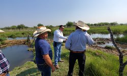 Desazolvarán el río Choy, para regar cultivos de Progreso