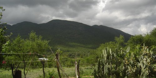 Niña murió tras ser arrastrada por un caballo