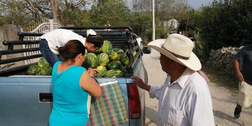 Además de despensas, entregaron a familias elotes, sandías y jitomate