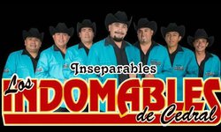 Cabildo de Lagunillas aprueba apoyo a grupo “Los Indomables” para fiestas patronales