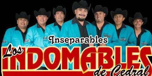 Cabildo de Lagunillas aprueba apoyo a grupo “Los Indomables” para fiestas patronales