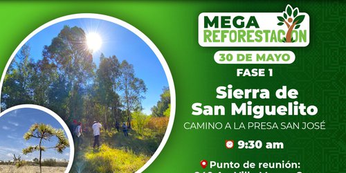 Coordinan Semana del Medio Ambiente del cinco al 11 de junio