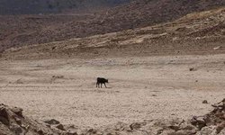 Presenta Ciudad Fernández sequía excepcional, de acuerdo con monitor de Conagua