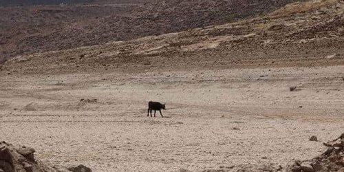 Presenta Ciudad Fernández sequía excepcional, de acuerdo con monitor de Conagua