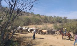 Terriblemente secas comunidades del Plan de Arriba y el Cañón