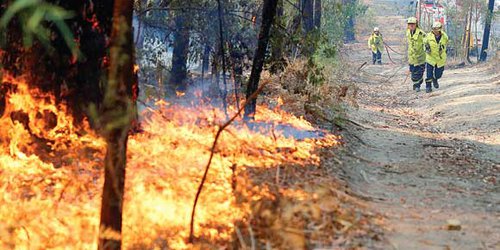 Sube a 19 cifra de muertos por incendios en Australia